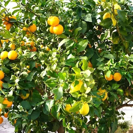 Cozy In Σπίτι διακοπών